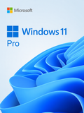Windows 11 Pro